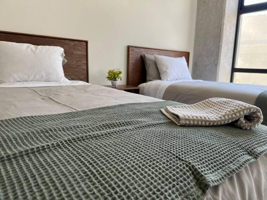 Depa Boho Al Sur Pet Friendly Piscina Gym Sala De Cine Lägenhet Guadalajara Exteriör bild
